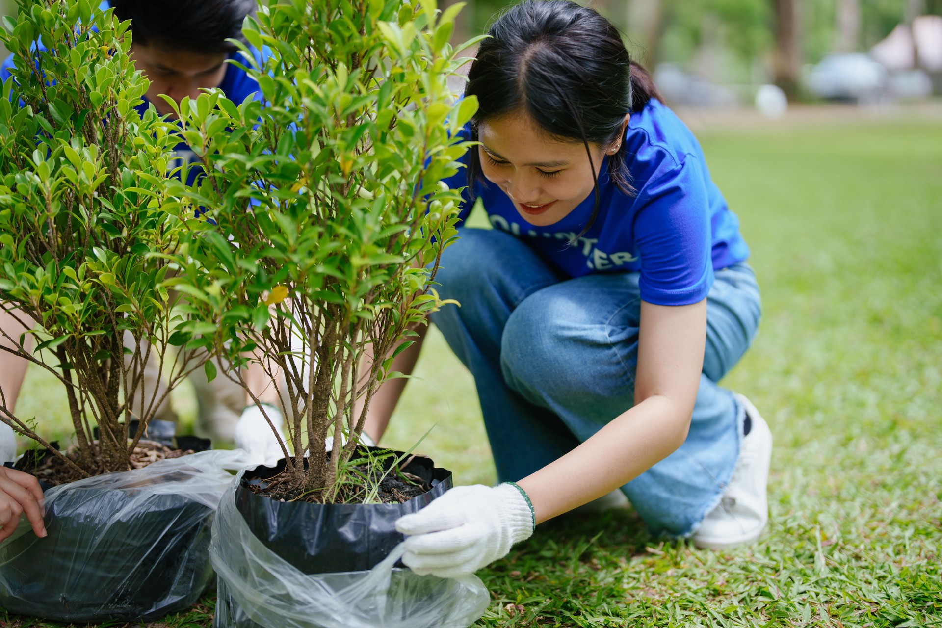 Volunteers of various nationalities are showing solidarity by sacrificing their personal time by planting trees to restore nature to reduce carbon dioxide in the air.